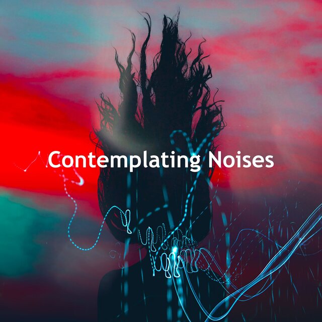 Contemplating Noises