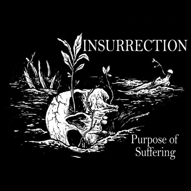 Purpose of Suffering