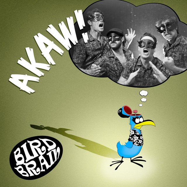 Bird Brain