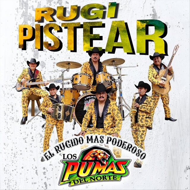Rugipistear