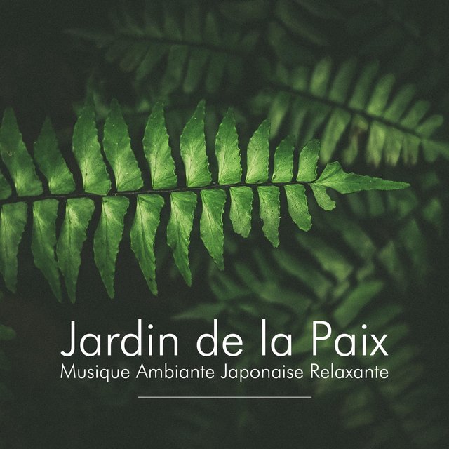 Jardin de la Paix: Musique du Monde, Musique Ambiante Japonaise Relaxante avec les Sons de la Nature - Pluie, Vagues de la Mer, Vent, Bruit Blanc, Musique de Piano