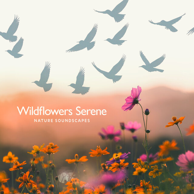 Wildflowers Serene