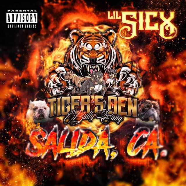 Tiger's Den Bully Gang