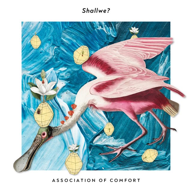 Association of Comfort