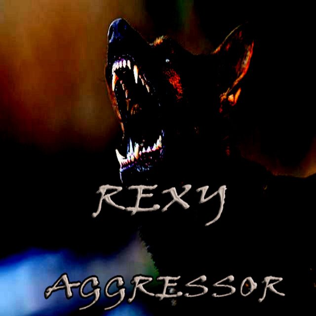 Aggressor