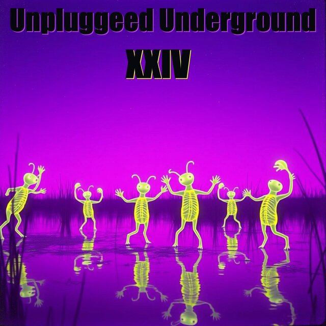 Unplugged Underground XXIV