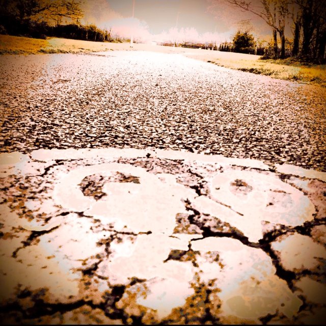 Freewheeling