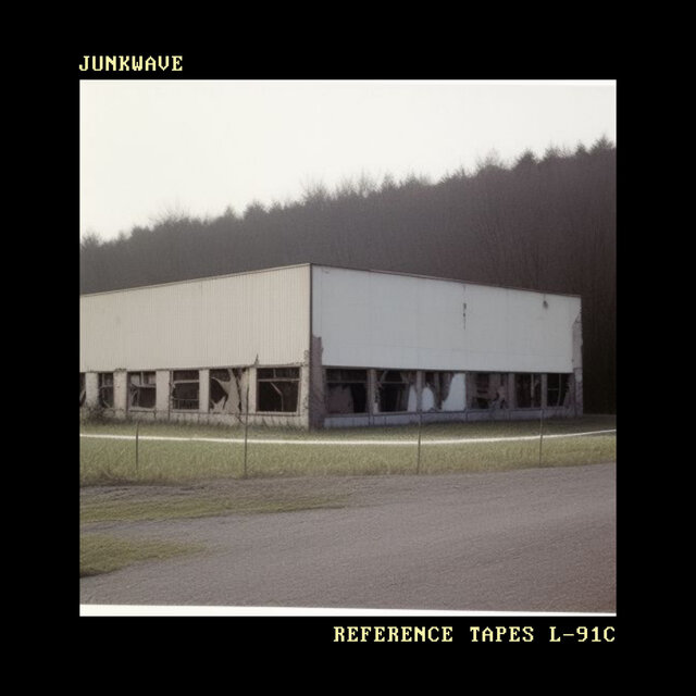 Reference Tapes L-91C