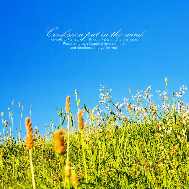 Wind Confession
