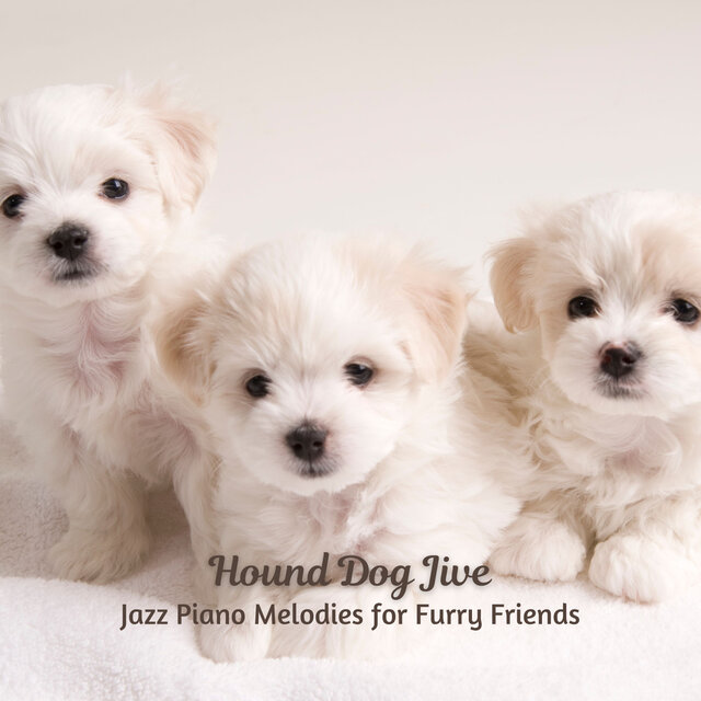 Hound Dog Jive: Jazz Piano Melodies for Furry Friends