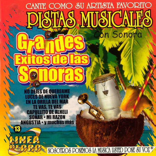 Pistas Musicales Con Sonora Grandes Exitos de las Sonoras