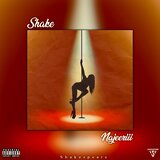 Shake