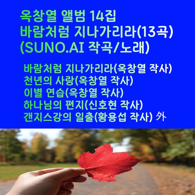바람처럼 지나가리라