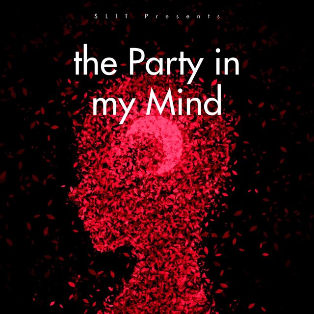 The party in my mind