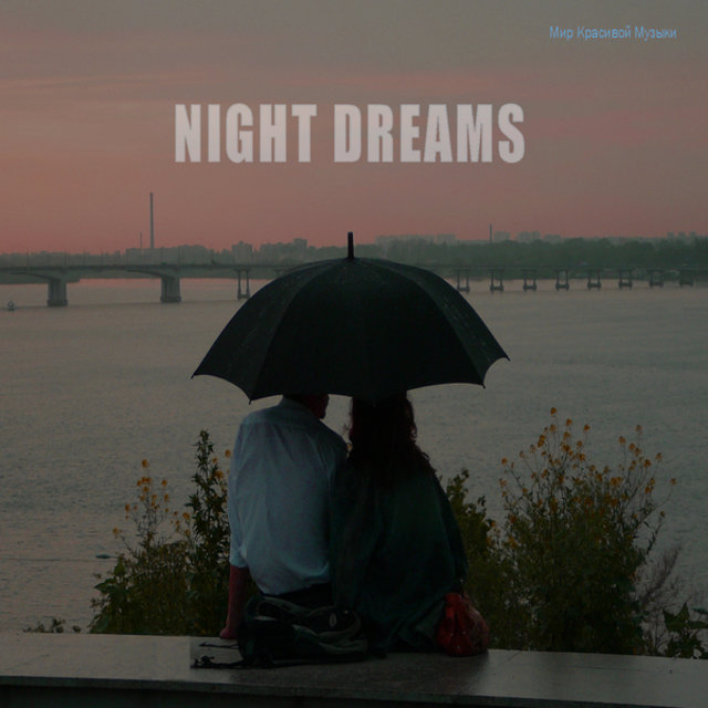 Night Dreams