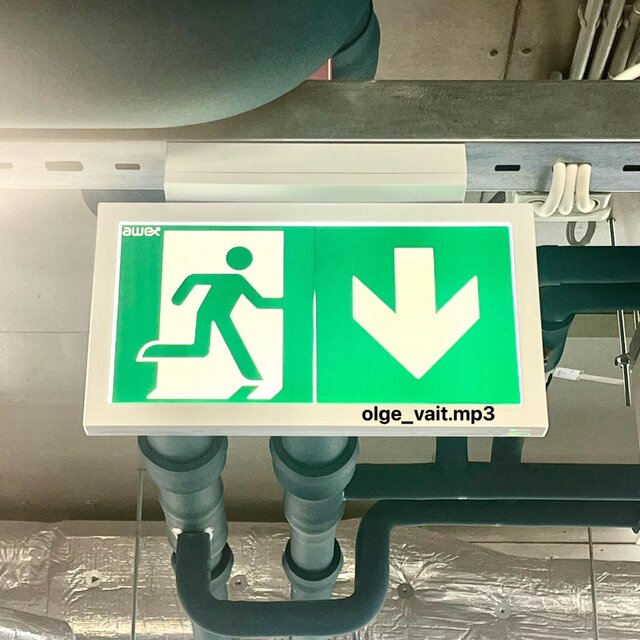 Olge vait