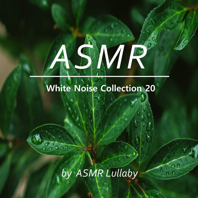 White Noise Collection 20 (Rain, Bonfire Sound, White Noise, Sleep) - ASMR Lullaby 71