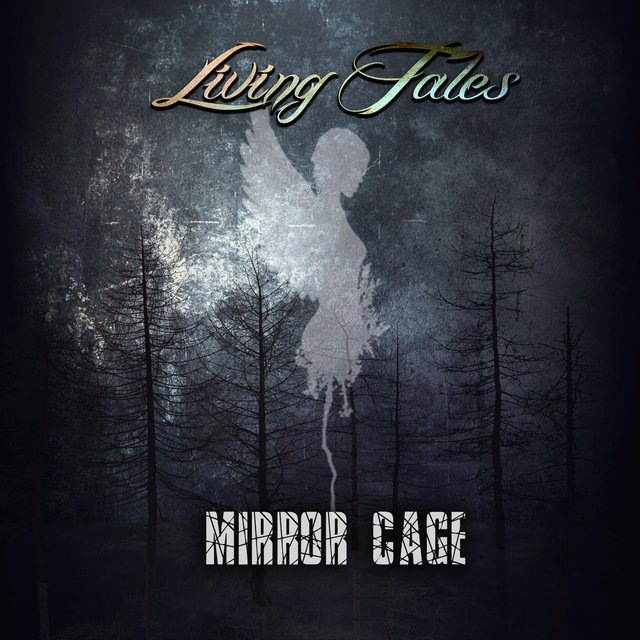 Mirror Cage