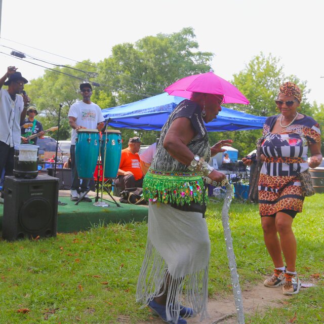 Blues in the Park in Detroit (Live)