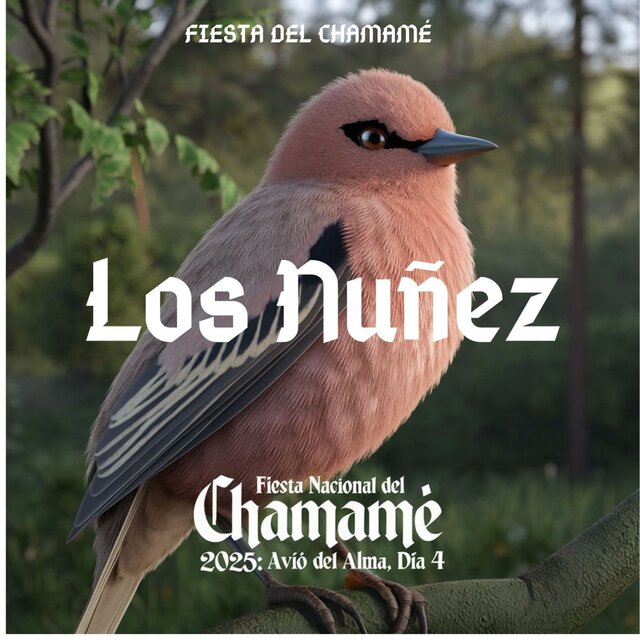 Los Nuñez en Avio del Alma, Dia 4: Fiesta Nacional del Chamamé 2025 (En Vivo)
