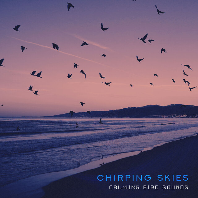 Chirping Skies