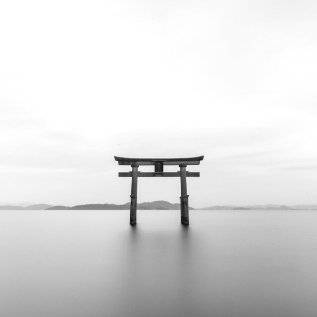Zen Garden