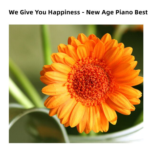 We Give You Happiness - New Age Piano Best