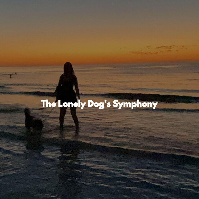 The Lonely Dog's Symphony