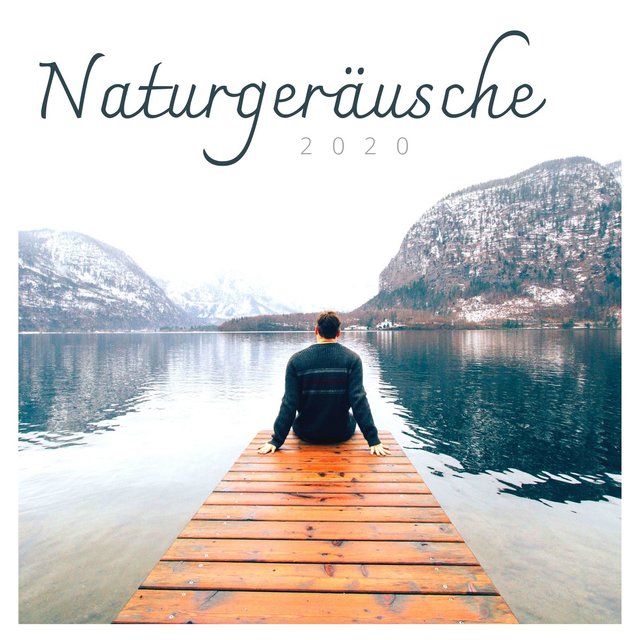 Naturgeräusche 2020: Relaxen sie zusammen mit der Natur und instrumentaler Musik