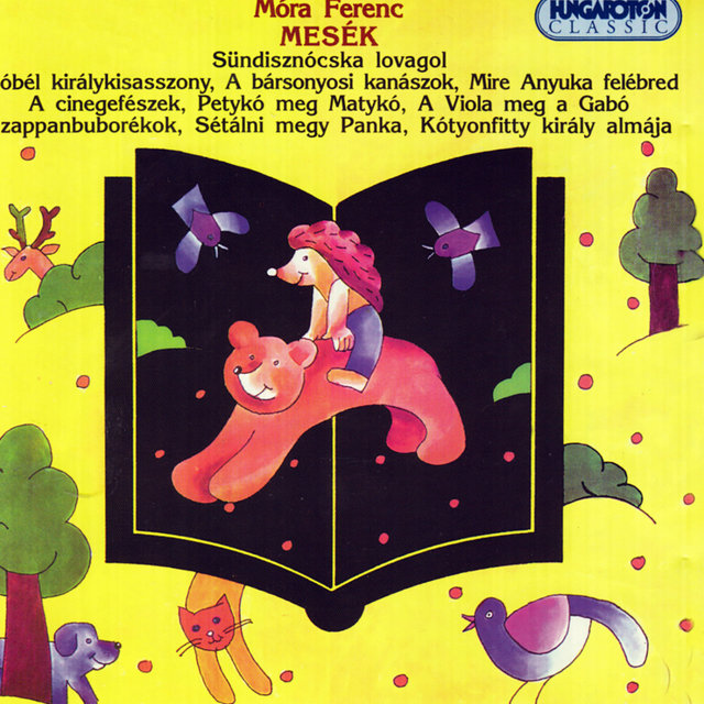 Sündisznócska lovagol
