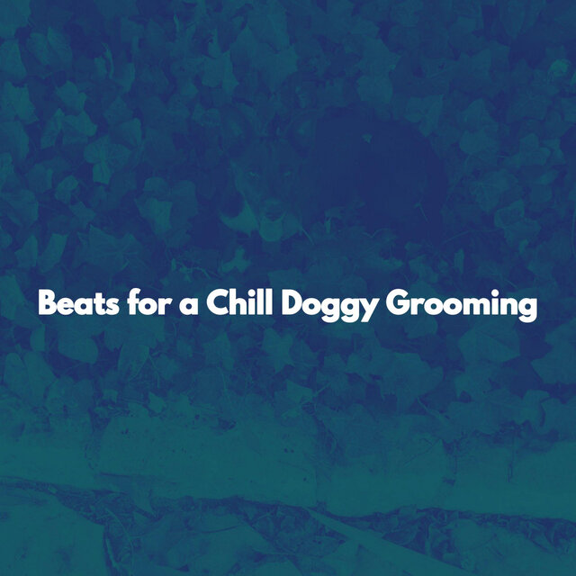 Beats for a Chill Doggy Grooming
