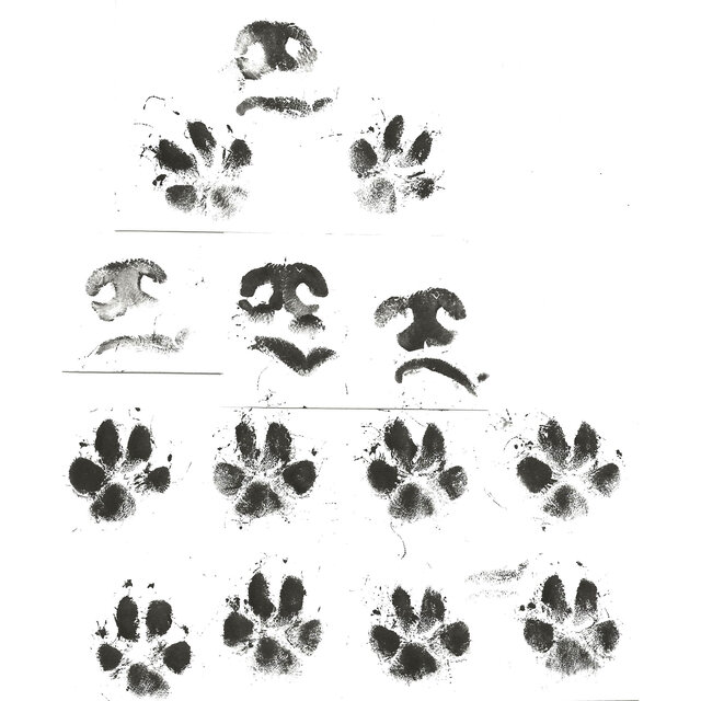 Cover art for album Lil doggies go to heaven by User