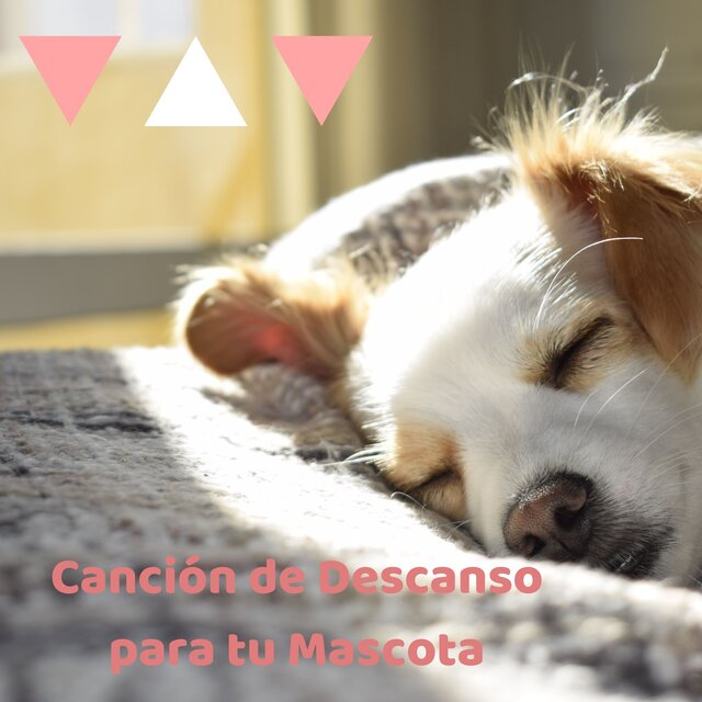 Canción de Descanso para tu Mascota