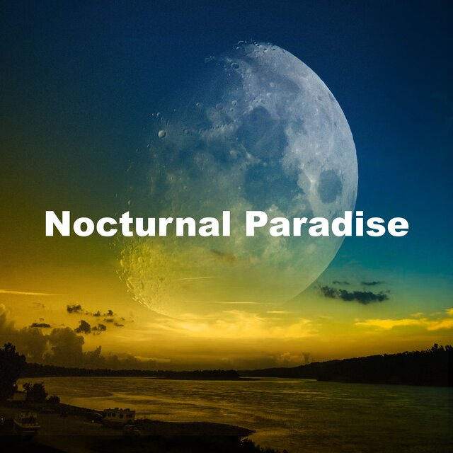 Nocturnal Paradise