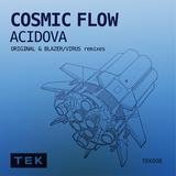 Cosmic Flow