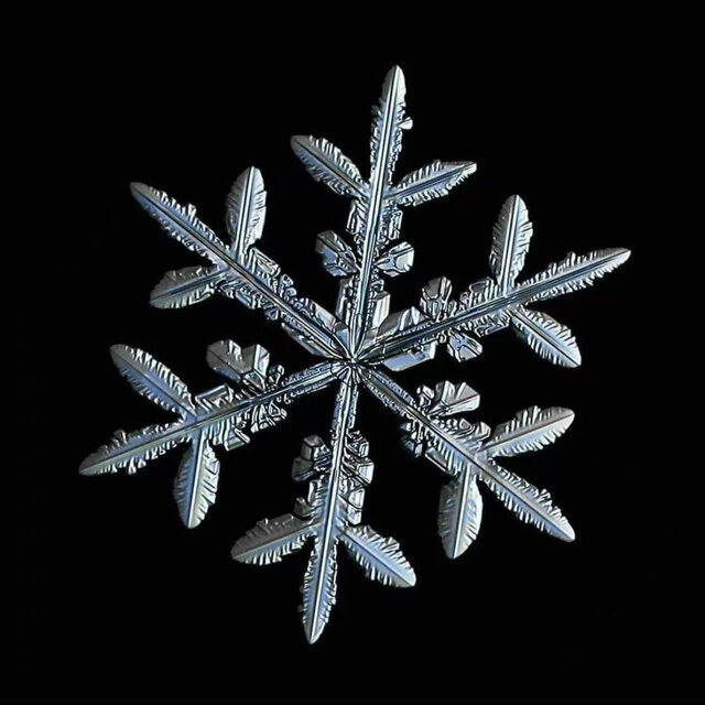雪化之后