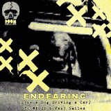 Endearing (Like a Dog Driving a Car)