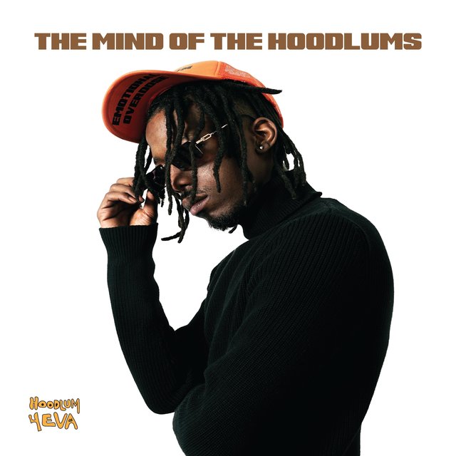 The Mind Of The Hoodlums