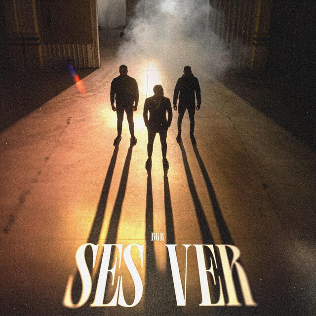 Ses Ver