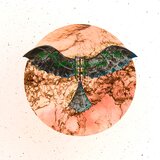 Vuela (feat. Miss Critical)