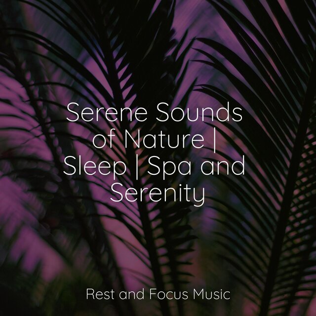 Serene Sounds of Nature | Sleep | Spa and Serenity