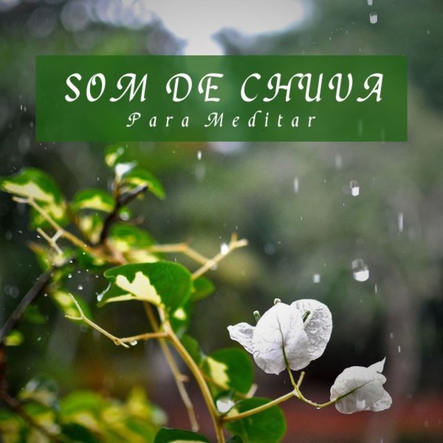 Som de Chuva para Meditar