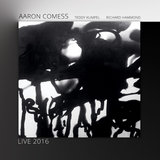 Bajelirious (Live)