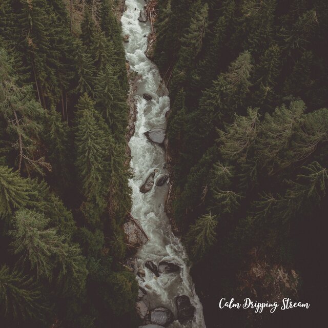 Calm Dripping Stream