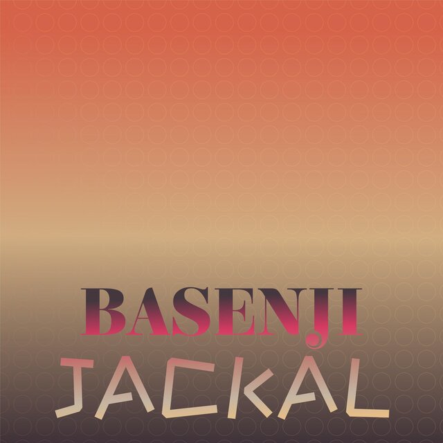 Basenji Jackal