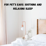 Sleep Music