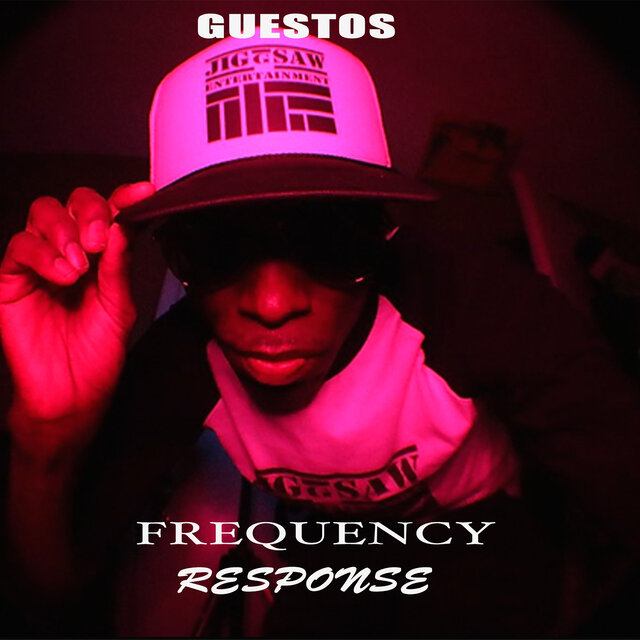 Frequency Response