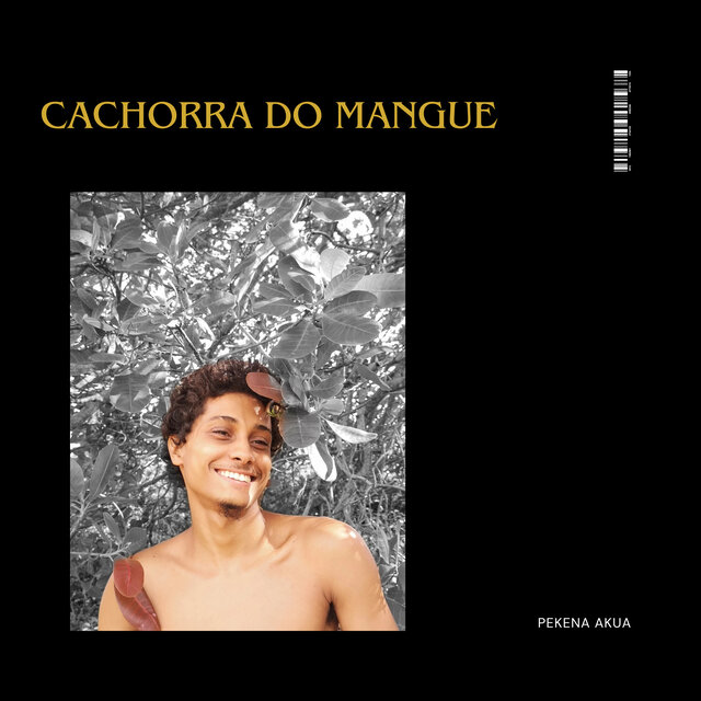 Cachorra do Mangue (Remastered 2024)