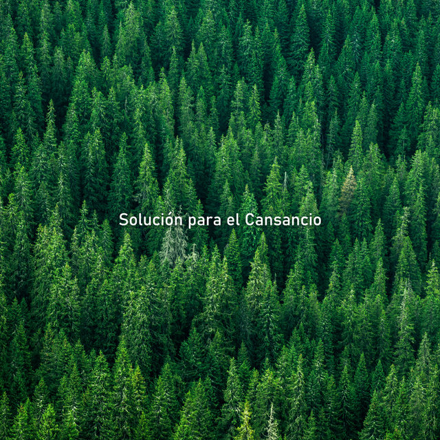 Solución para el Cansancio (Paz, Relajantes Sonidos de la Naturaleza, Sueño Profundo y Regenerador, Relajación Irlandesa)