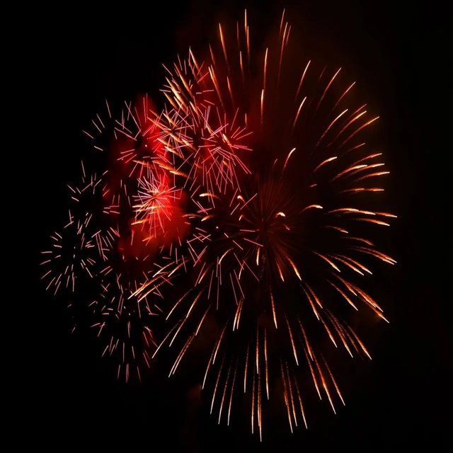 Happy New Year